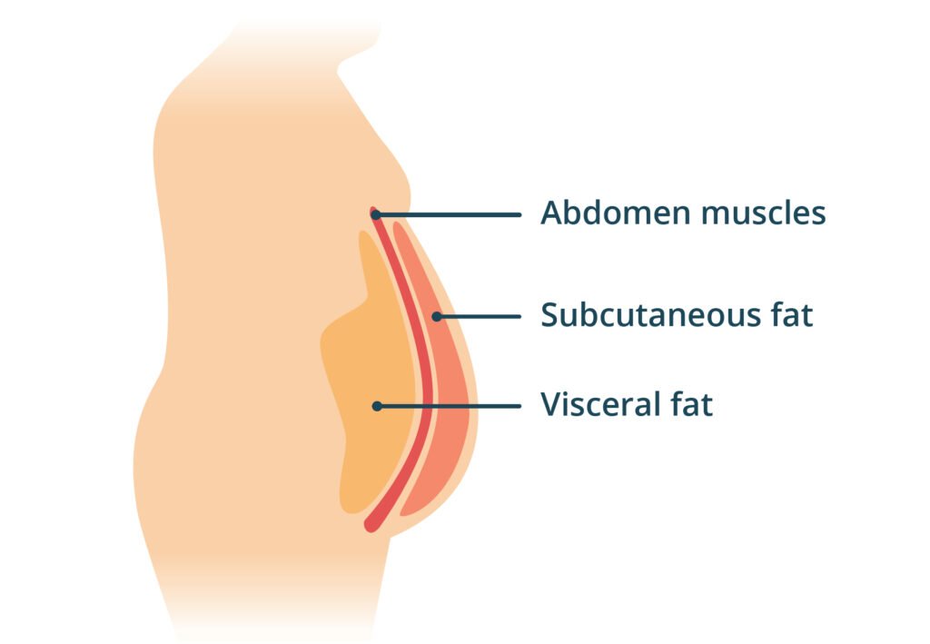 Mounjaro for Weight Loss in Sandakan 15 Visceral Fat