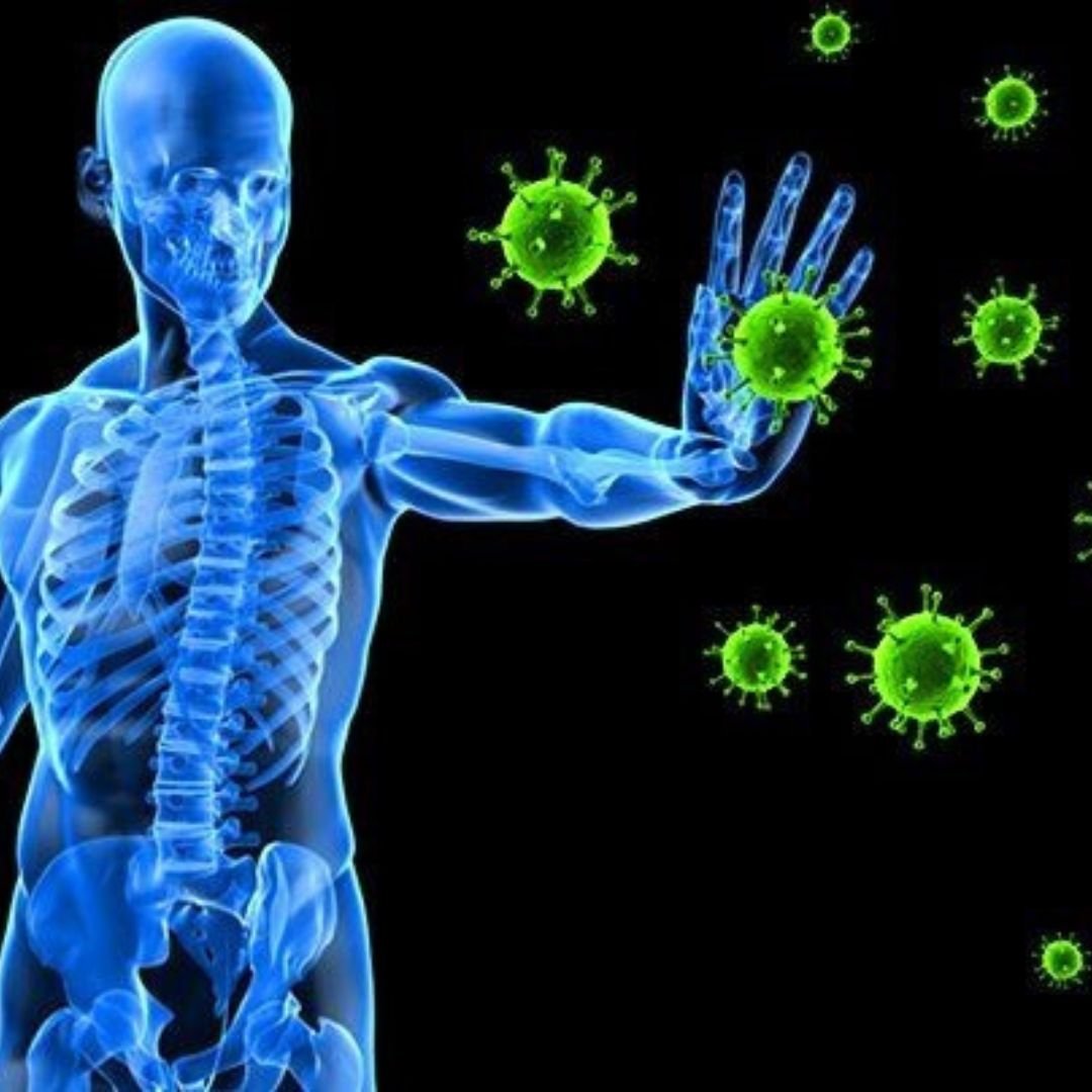 Influenza Vaccine 3 Building immune system with influenza shots
