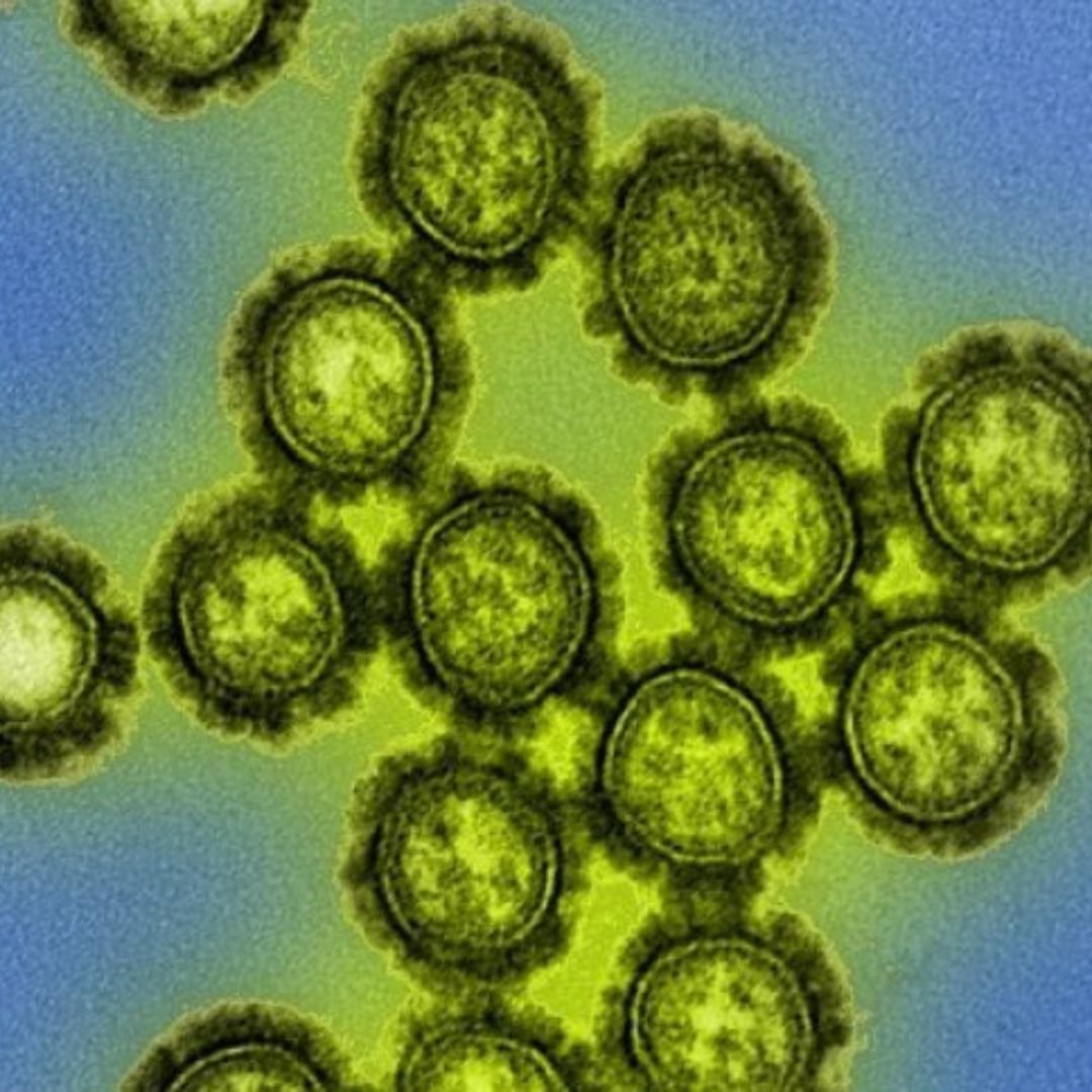 Influenza Vaccine 4 Reducing Flu Severity and Community Spread 